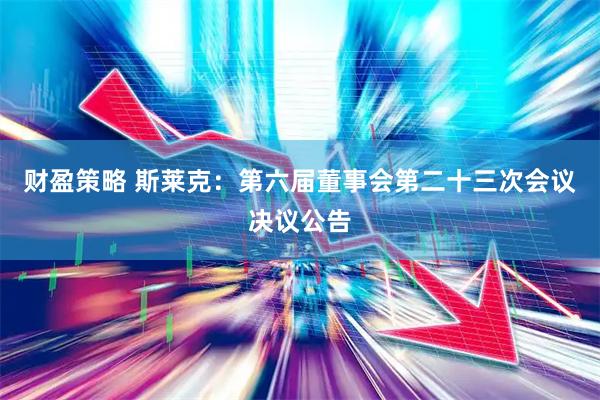 财盈策略 斯莱克：第六届董事会第二十三次会议决议公告